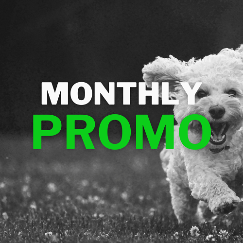 Image Monthly Promo